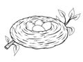 Hand drawn nest with eggs. Vector illustration. Royalty Free Stock Photo