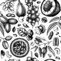 Hand drawn nut trees and plants background. With vector pecan, macadamia, hazelnut,walnut, almond, pistachio, chestnut, peanut, Royalty Free Stock Photo