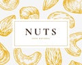 Hand Drawn Nuts Card. Abstract Vector Cashew, Hazelnuts and Almond Sketch Background with Classy Retro Typography.