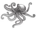 Hand drawn octopus in graphic ornate style.