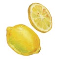 Hand drawn oil illustration of lemon and a slice of lemon