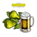 Hand drawn Oktoberfest, Saint Patrick day pub poster. Pear cider beer. Colored vector glass mug and pear branch. Bar