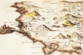 Hand drawn old vintage map of the fantasy land with mountains, castles, buildings, coastline closeup view with selective focus Royalty Free Stock Photo