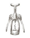 Hand drawn old wine corkscrew sketch. Drink concept