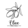 Hand drawn olive icon.