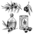 Hand drawn olive oil bottles and olives Royalty Free Stock Photo