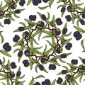 Hand Drawn Olive Oil Seamless Pattern