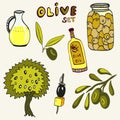 Hand drawn olive set. Set of the elements. Olives, olive oil, branch and tree on background Royalty Free Stock Photo
