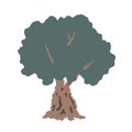 Hand-drawn olive tree. Vector cartoon doodle illustration, isolated vector. Royalty Free Stock Photo