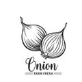 Hand drawn onion icon. Royalty Free Stock Photo