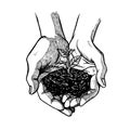 Hand drawn open palms with sprout. Black and white vintage hands. Vector sketch