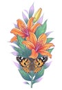 Hand Drawn Orange Lily Flowers and Painted Lady Butterfly