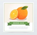 Hand drawn orange with slice and green leaf. Citrus fruit with source of vitamin C. Natural food. Cartoon vector design