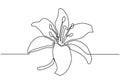 Hand drawn orchid flowers. Continuous One line drawing. Minimalist art vector minimalism