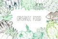 Hand drawn organic food background. Organic herbs, spices and seafood. Healthy food drawings set elements for menu design. Royalty Free Stock Photo