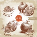 Hand drawn organic pomegranates set. Pomegranates with seeds and leafs. Royalty Free Stock Photo