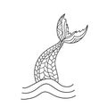 Hand drawn ornamental mermaid`s tail. Vector illustration Royalty Free Stock Photo