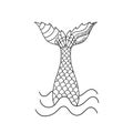 Hand drawn ornamental mermaid`s tail. Vector illustration isolated on white background.