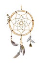 Hand drawn ornate Dream catcher with feathers in soft trendy colors. Astrology, spirituality, magic symbol. Ethnic tribal element.