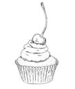 Hand drawn outline cupcake with cherriy