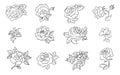 Hand drawn outline flowers. Flower roses, peony daisy plant and leaves. Sketch drawing botanical elements, nowaday Royalty Free Stock Photo