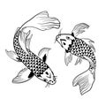 Hand drawn outline Koi fish and Japanese tattoo. Two Chinese carp.