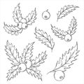 Hand drawn outline mistletoe holly berries and leaves. Merry christmas mistletoe set