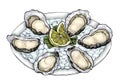 Hand drawn oyster salt-water bivalve platter