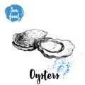 Hand drawn oysters composition. Seafood sketch style illustration. Fresh marine mollusks in closed and opened shells. Royalty Free Stock Photo