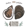 oyster shell illustration great design for any purposes