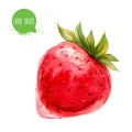 Hand drawn and painted watercolor ripe ctrawberry. Isolated on white background.