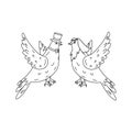 Hand drawn pair of flying doves isolated on white background. Black and white image. Two pigeons vector sketch.