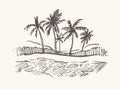 Hand drawn palm beach,Goa sketch illustration.