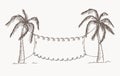 Hand drawn palm trees. Vector, editable image.