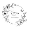 Hand drawn pansy floral greeting card background