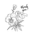 Hand drawn pansy flowers clipart. Floral design element. Isolated on white background. Vector Royalty Free Stock Photo