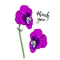 Hand drawn pansy flowers clipart. Floral design element. Side view. Isolated on white background. Vector Royalty Free Stock Photo