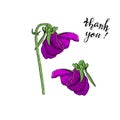 Hand drawn pansy flowers clipart. Floral design element. Side view. Isolated on white background. Vector Royalty Free Stock Photo