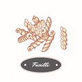 Hand drawn pasta Fusilli isolated on white. Element for restaurant or food package design