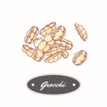 Hand drawn pasta gnocchi isolated on white. Element for restaurant or food package design