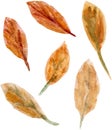 Hand-drawn pattern of autumn fallen leaves