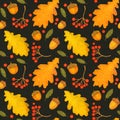Hand drawn pattern of autumn leaves and acorns. Autumn leaves, leaf fall. Modern bright style