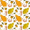 Hand drawn pattern of autumn leaves and acorns. Autumn leaves, leaf fall. Modern bright style