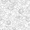 Hand drawn pattern floral background. Flower black line on white. Packaging, fabric, wrapping, prints, cards, wedding Royalty Free Stock Photo