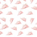 Hand drawn pattern pink Shells on white background. Watercolor set sammer shell. Use for banners posters texctiles cover