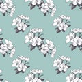 Hand drawn pattern seamless apple flowers on green background. Royalty Free Stock Photo