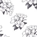 Hand drawn pattern seamless apple flowers on white background.