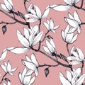 Hand drawn pattern seamless magnolia flowers on pink background.