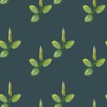 Hand drawn pattern seamless watercolor drawing of plantain with yellow flowers and green leaves isolated on green background.