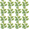 Hand drawn pattern seamless watercolor drawing of plantain with yellow flowers and green leaves isolated on white backdrop.